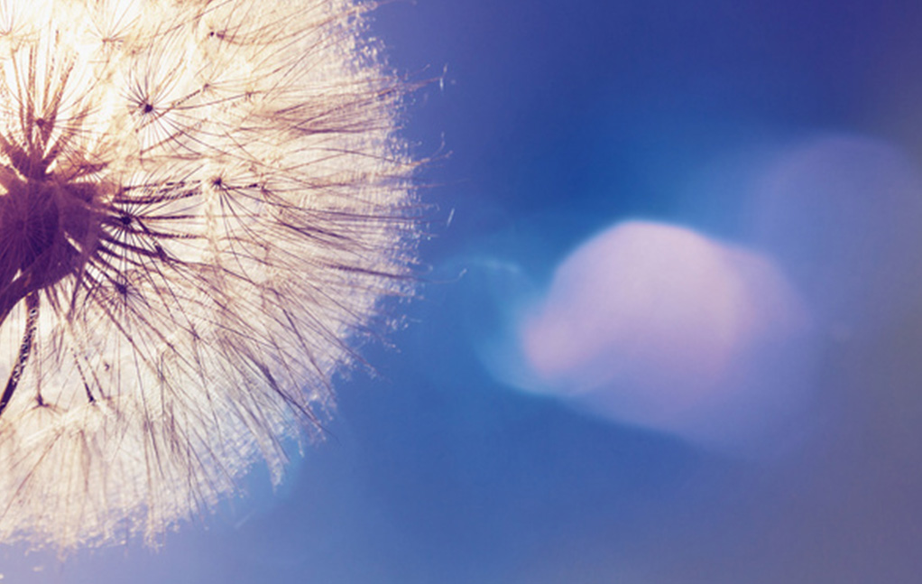 永利集团·yl8cc(中国游)官方网站